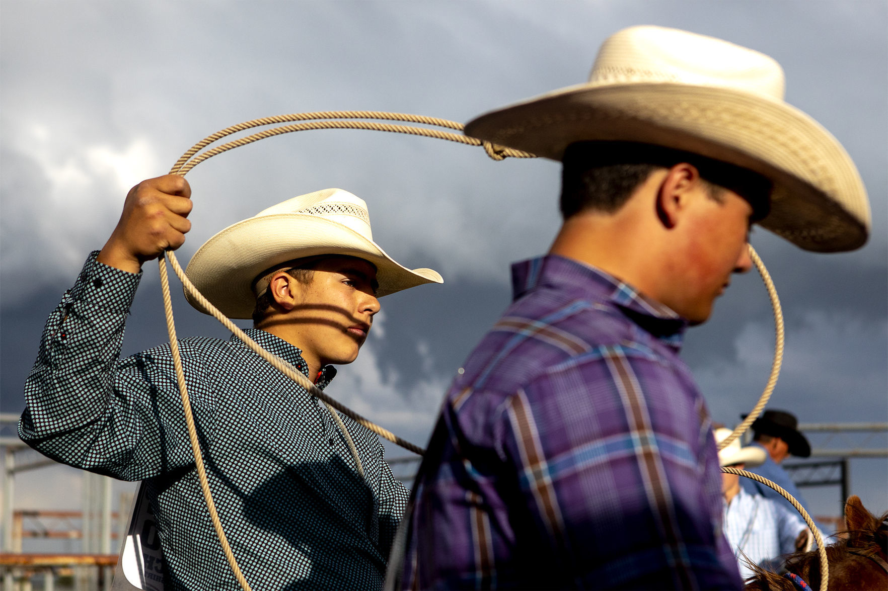 Rodeo gallery